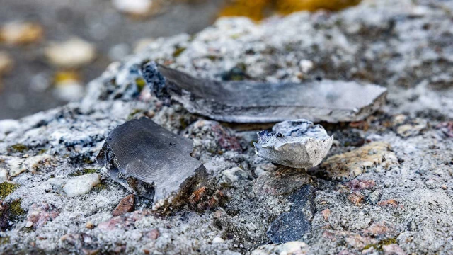 У передмісті Херсона через атаку військ РФ поранений працівник Суспільного