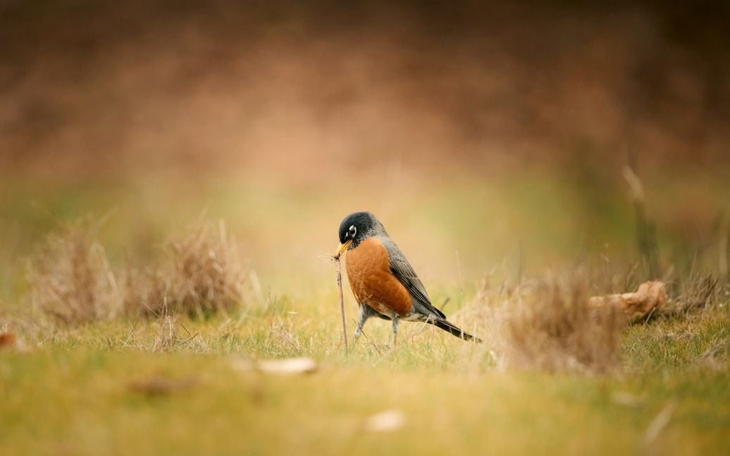 Яке сьогодні, 24 березня, свято в Україні: що святкують