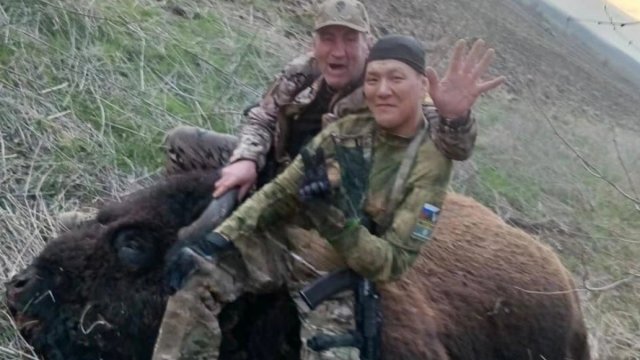 Російські військові вбили рідкісного зубра у природному заповіднику на півдні України