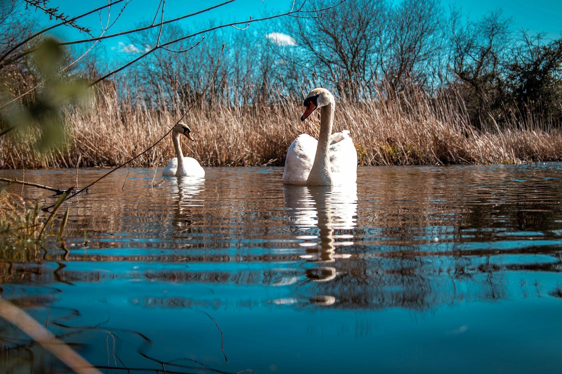 Яке сьогодні, 11 березня, свято – все про цей день, яке церковне свято, що не можна робити
