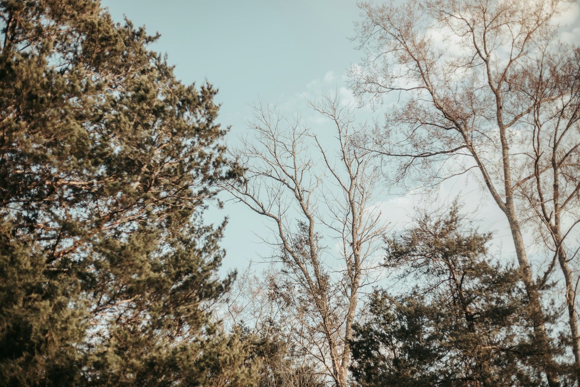 Яке сьогодні, 7 березня, свято – все про цей день, яке церковне свято, що не можна робити