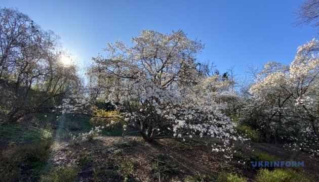 В Україні у квітні очікується в середньому 10-13° тепла, максимально може прогріти до 33°