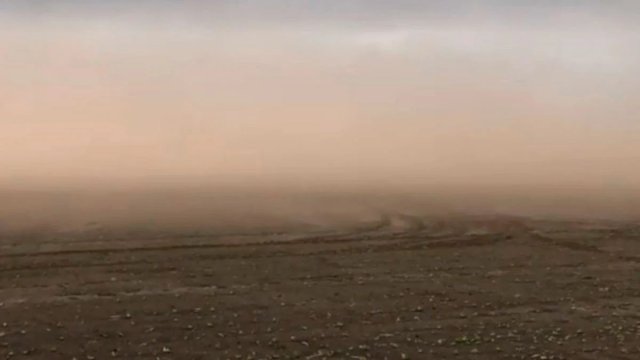 На Херсонщині поки не зафіксували пилову бурю, – синоптик