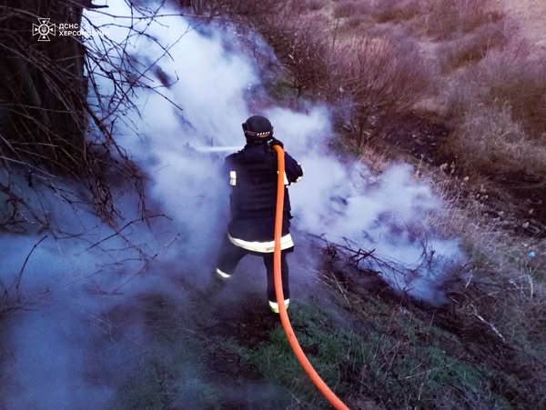 У Бериславському районі рятувальники ліквідували пожежу сухостою