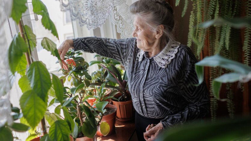 Знають не всі: українцям пояснили, які роки не входять до страхового стажу для пенсії