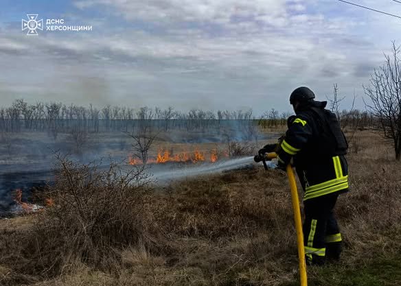 За добу вогнеборці на Херсонщині ліквідували 3 пожежі