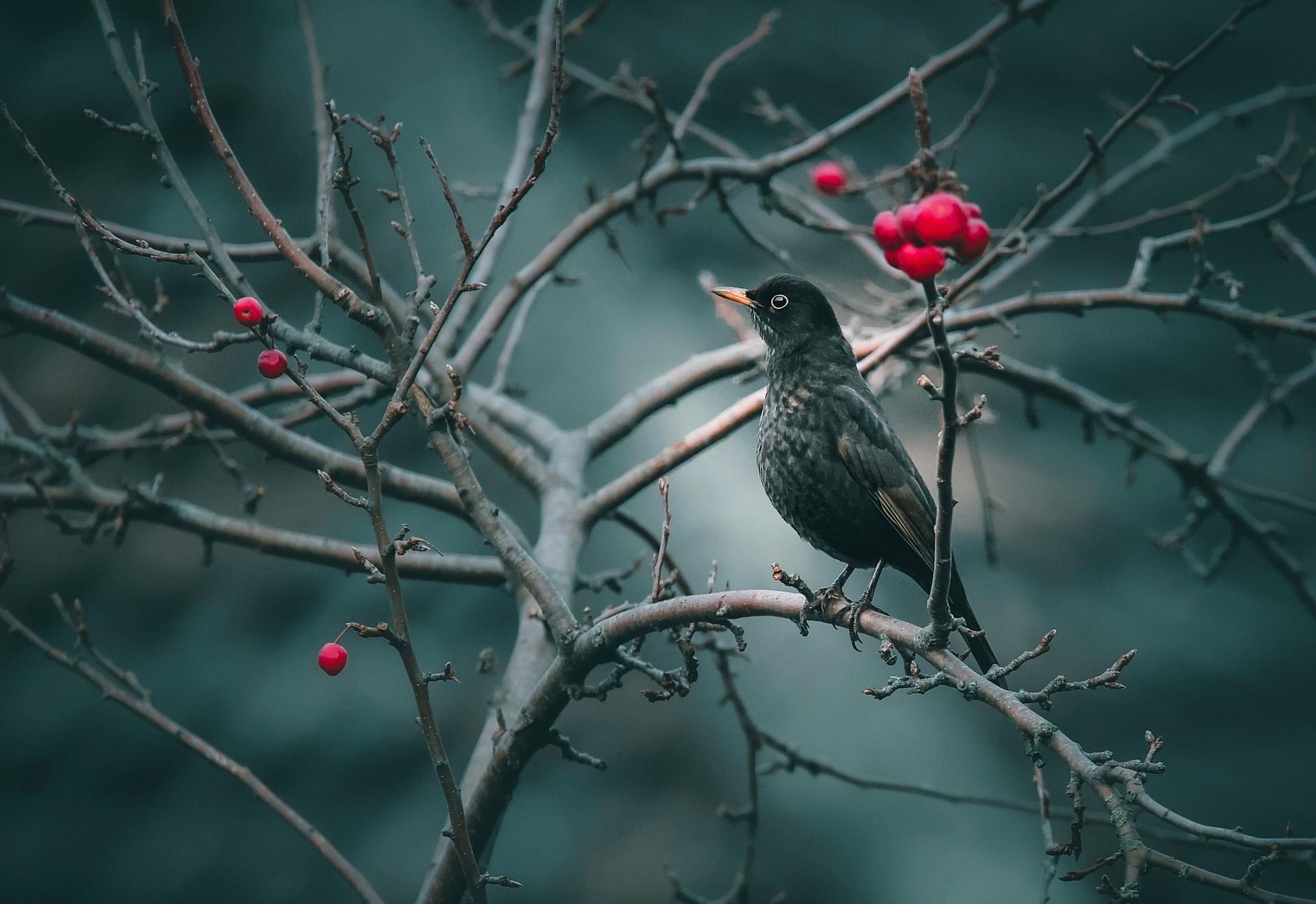 Яке сьогодні, 3 березня, свято – все про цей день, яке церковне свято, що не можна робити