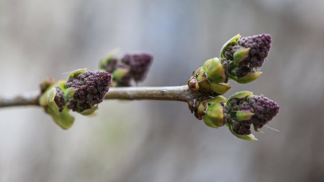 Яку погоду прогнозують на Херсонщині 20 березня