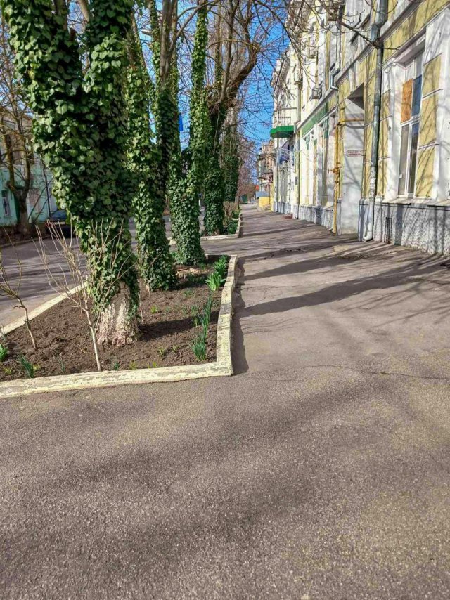 У Херсоні триває місячник з благоустрою - містяни прибирають території, висаджують дерева і кущі, облаштовують квітники.