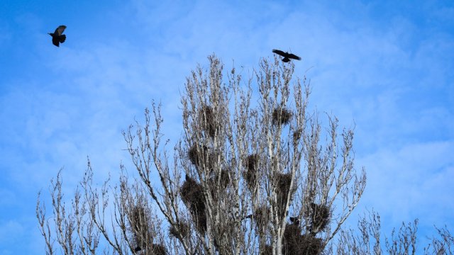 Погода на Херсонщині: який прогноз синоптиків на 23 березня