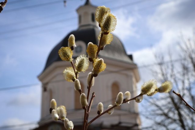Удари КАБами, евакуація з-під обстрілів, допомога та весна. Херсон у фото за тиждень