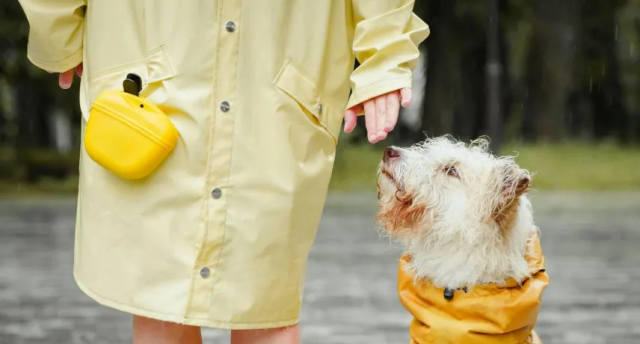 Укргідрометцентр попередив про погіршення погоди в неділю: місцями посилення вітру та дощі