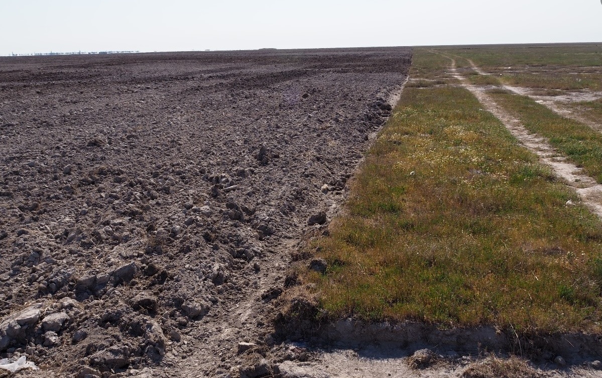 Суд повернув Чулаківській громаді на Херсонщині 350 га цілинного степу, розореного місцевою агрофірмою