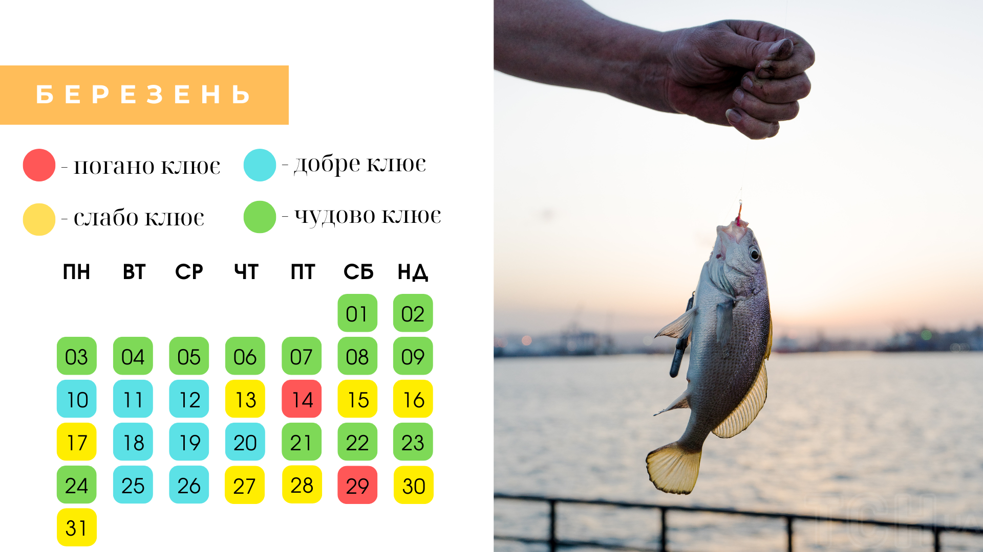 Календар рибалки на березень 2025 року: коли можна отримати найкращий улов
