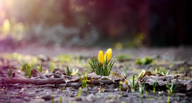 Укргідрометцентр оновив прогноз погоди: в Україну вже з середи почне повертатися тепло