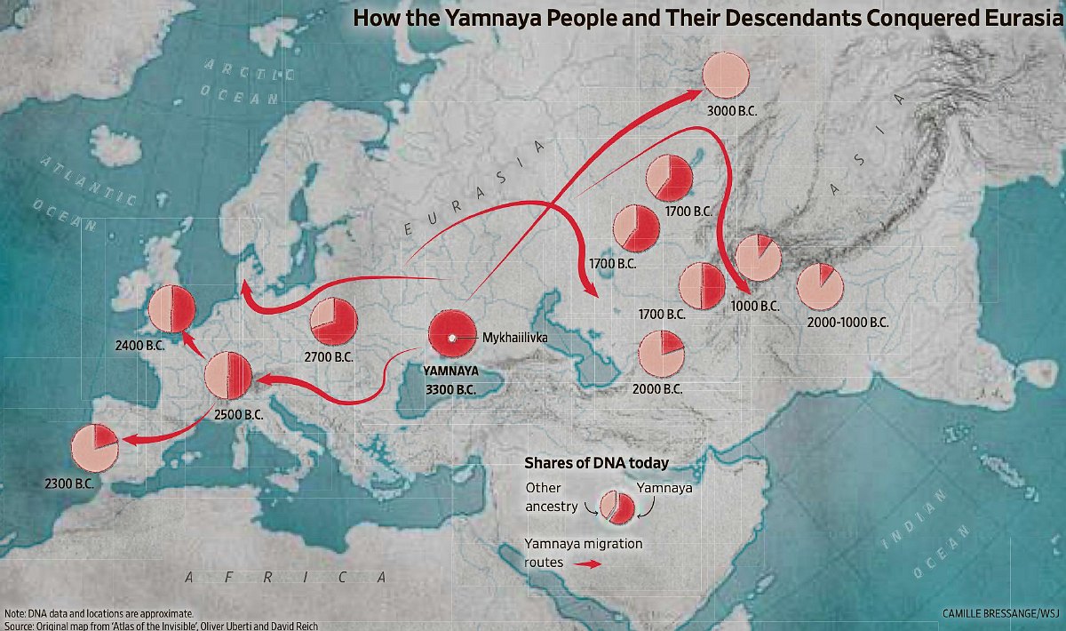 Як люди ямної культури та їхні нащадки підкорили Євразію