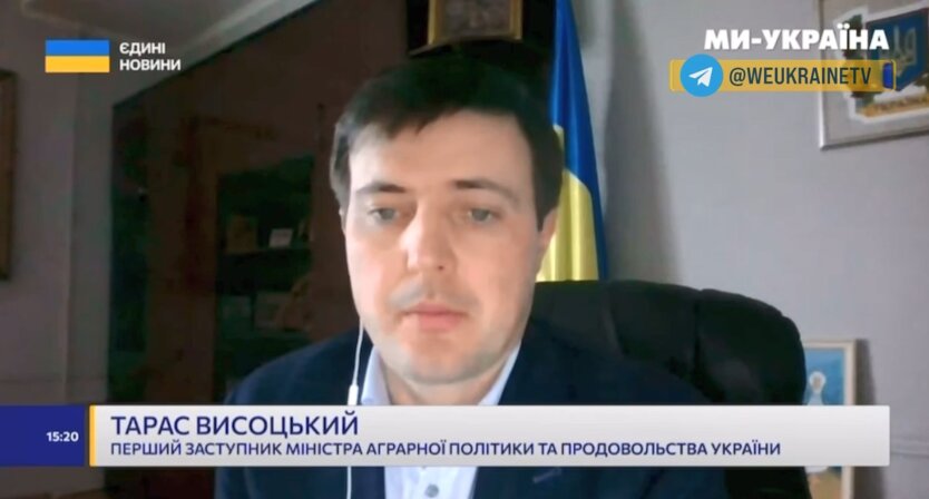 Падіння продовжиться: коли яйця в Україні досягнуть мінімальної ціни