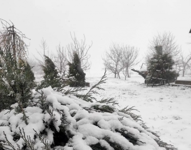 В Україну повернулася зима: регіони засипає снігом, а в Карпатах уже намело перемети до метра заввишки