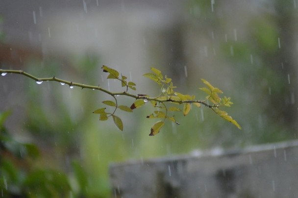 Яке сьогодні, 14 квітня, свято — все про цей день, яке церковне свято, що не можна робити