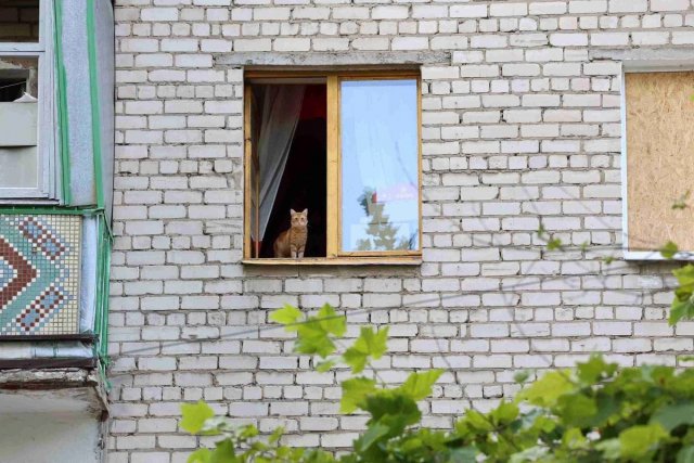 Як оформити житло в Херсоні. Поради нотаріуса при купівлі-продажу нерухомості