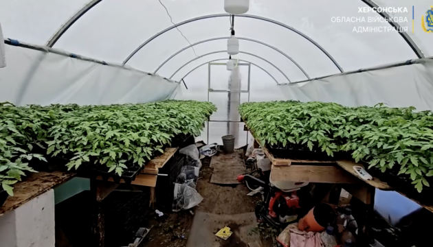 Міжнародний комітет Червоного Хреста допомагає розвивати тепличне господарство на Херсонщині