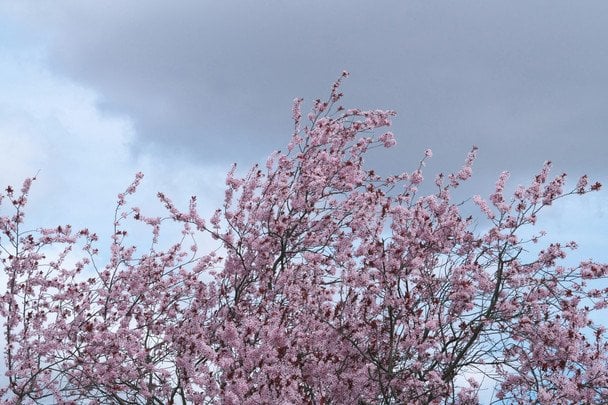 Яке сьогодні, 24 квітня, свято — все про цей день, яке церковне свято, що не можна робити