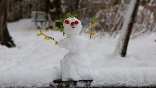 Херсон засипало снігом. Який вигляд мало місто зранку 11 квітня — у фото