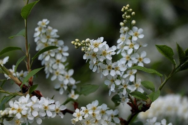 Яке сьогодні, 30 квітня, свято — все про цей день, яке церковне свято, що не можна робити