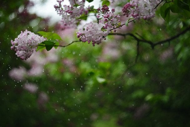 Яке сьогодні, 28 квітня, свято — все про цей день, яке церковне свято, що не можна робити