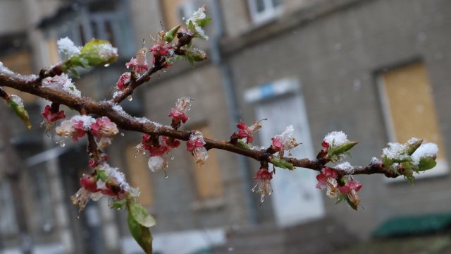 У Херсоні 8 квітня зафіксували новий температурний рекорд
