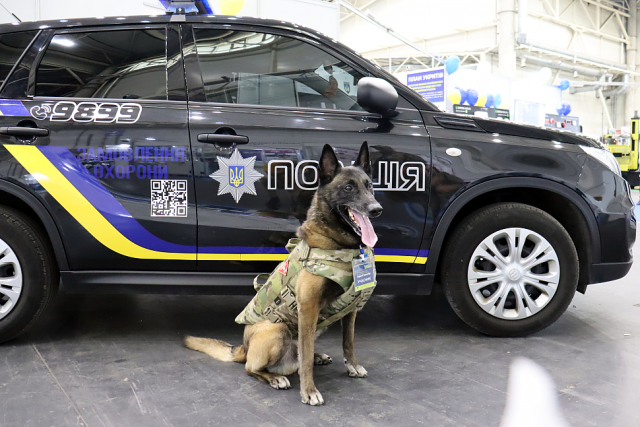 Херсонські поліцейські закупили бронежилети для своїх службових собак