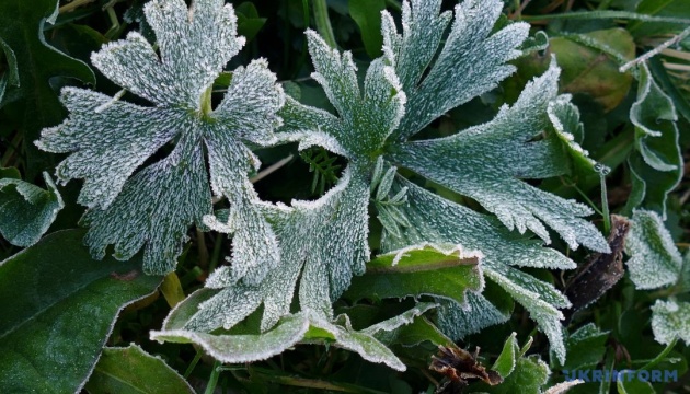В Україну йде похолодання із заморозками