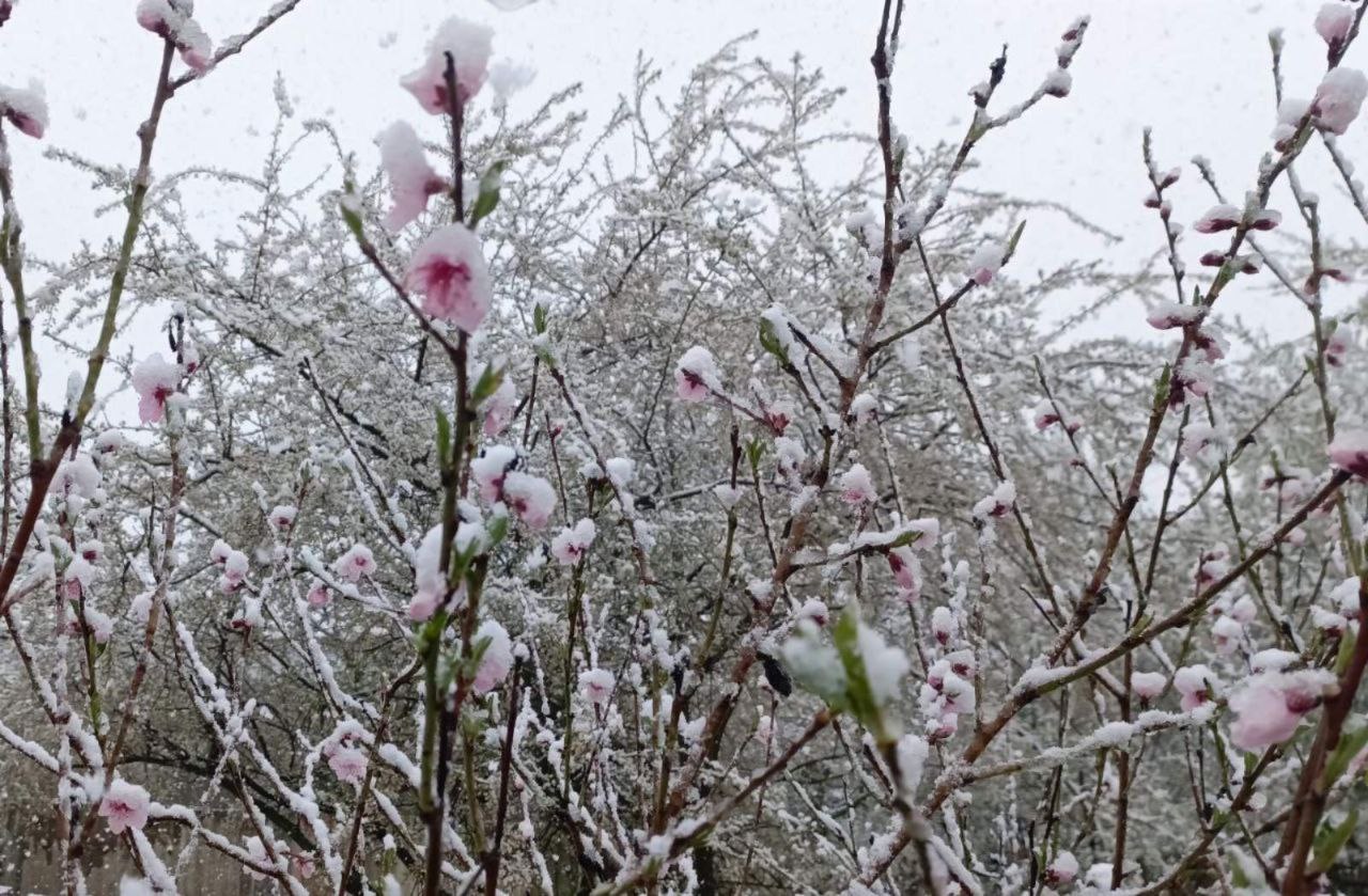 Мешканці окупованого лівобережжя діляться сніжно-морозними фото