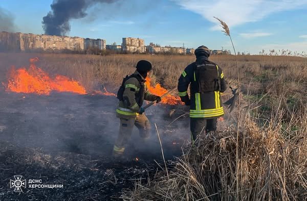 Рятувальники ліквідували пожежу в екосистемах