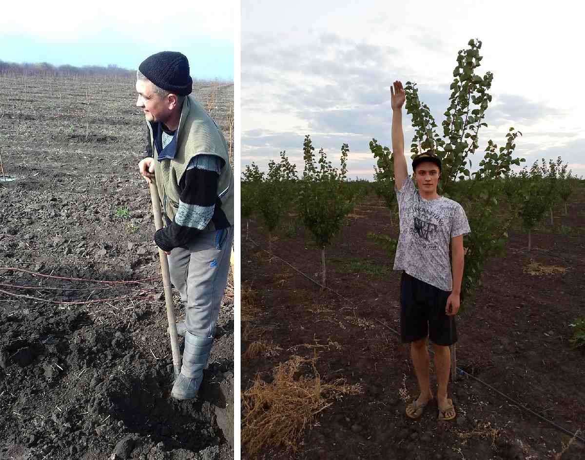 головні помічники фермера