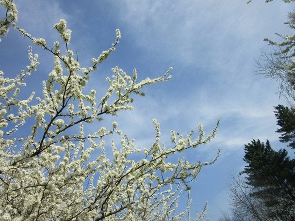 Яке сьогодні, 18 квітня, свято — все про цей день, яке церковне свято, що не можна робити