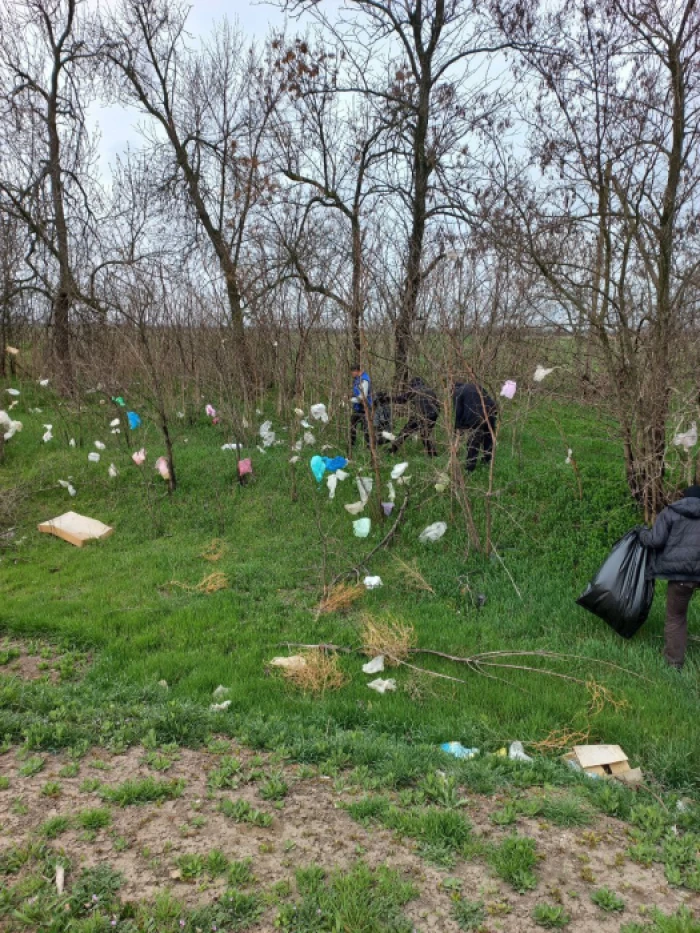 Прибирання у Скадовську 3 квітня 2025 року / Фото окупаційних медіа Прибирання у Скадовську 3 квітня 2025 року / Фото окупаційних медіа