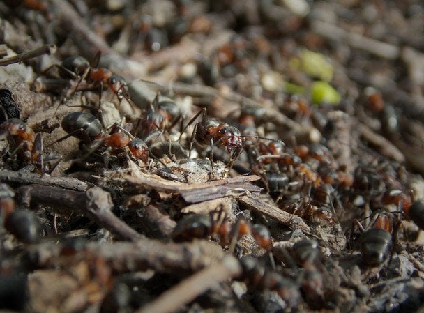 Яке сьогодні, 27 квітня, свято — все про цей день, яке церковне свято, що не можна робити