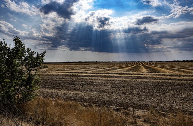 Як Росія вивозить українське зерно з окупованих територій і продає його за кордон