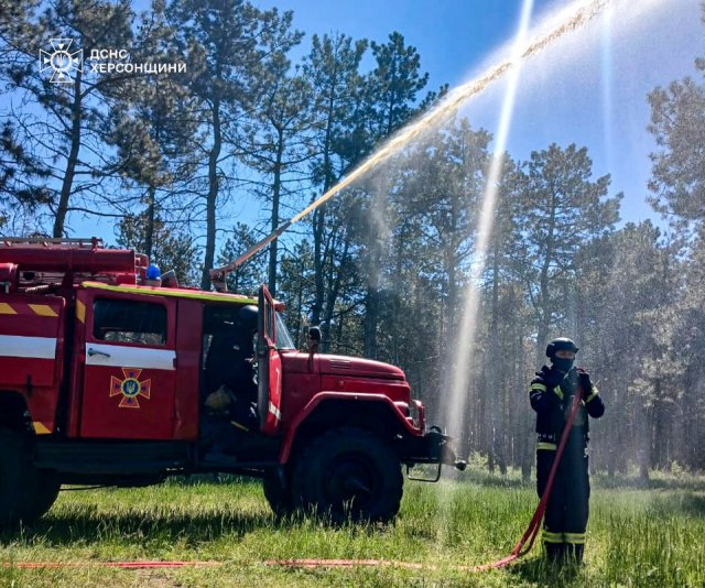 На Херсонщині вогнеборці провели тренування з ліквідації лісової пожежі