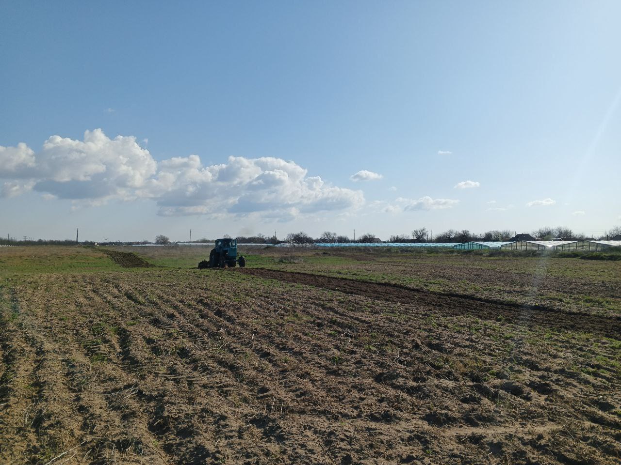 Окупанти збирають полуницю і брешуть про майбутній урожай