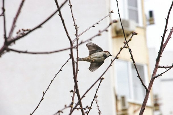 Яке сьогодні, 21 квітня, свято — все про цей день, яке церковне свято, що не можна робити