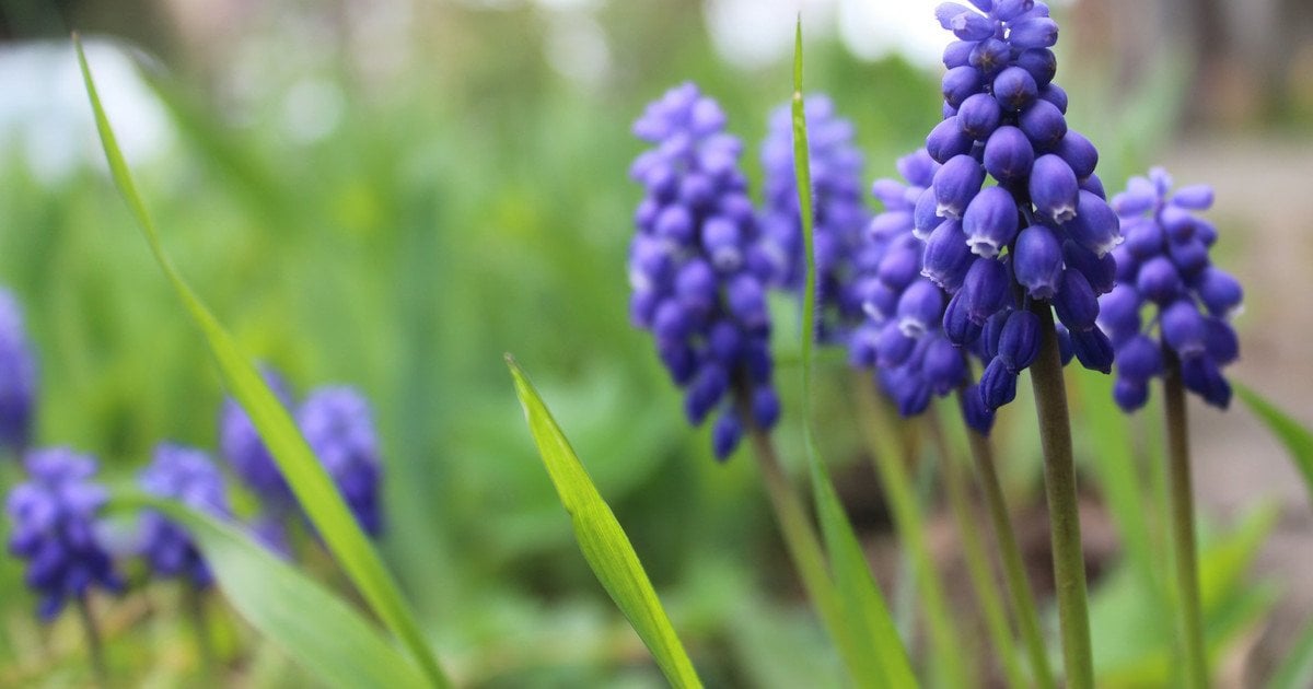 Який сьогодні, 8 квітня, день ангела