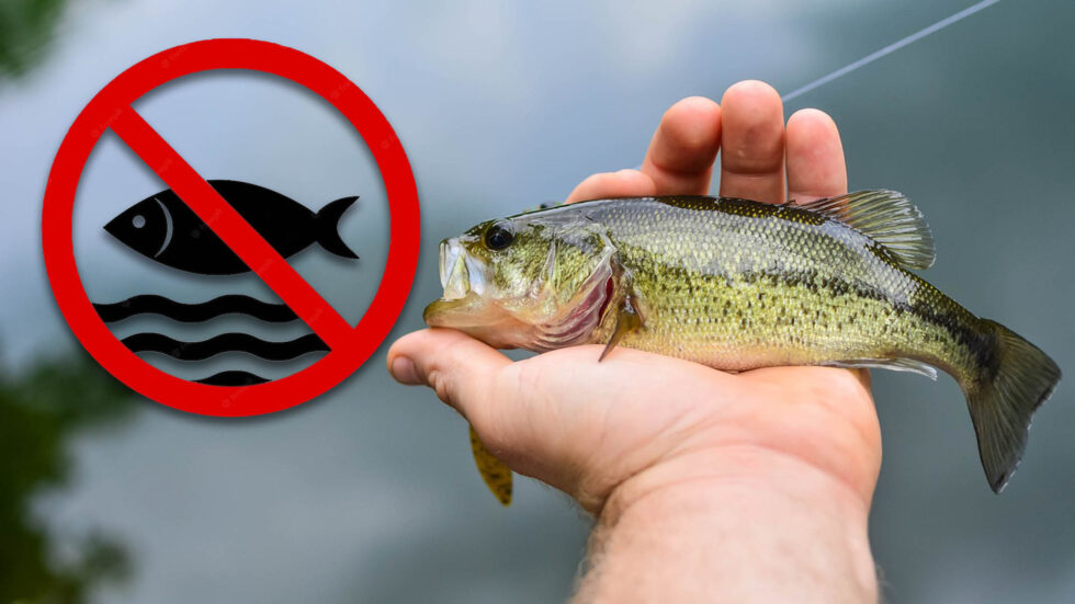 З 1 квітня на Херсонщині розпочинається весняно-літня заборона вилову риби на водних об’єктах