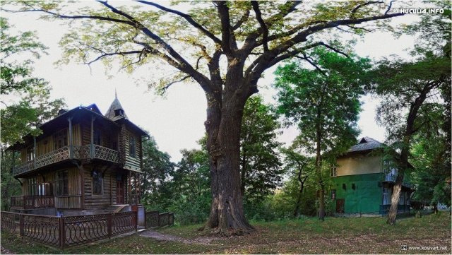 Юні херсонці вирушили до Івано-Франківщини на відпочинок