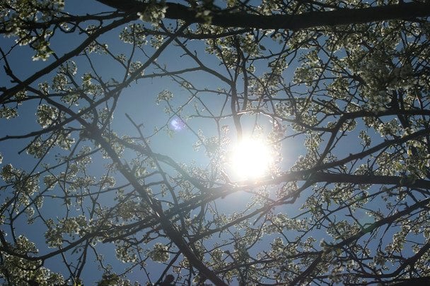 Яке сьогодні, 19 квітня, свято — все про цей день, яке церковне свято, що не можна робити