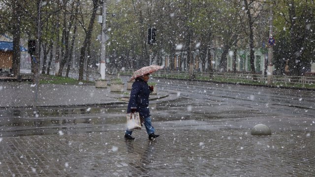 Мокрий сніг та сильний вітер. На Херсонщині очікується ускладнення погодних умов