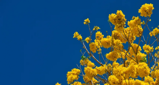 Коли в Україну прийде відчутне потепління: синоптики назвали точну дату