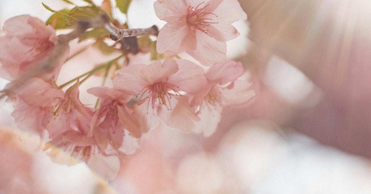 Який сьогодні, 5 квітня, день ангела Який сьогодні, 5 квітня, день ангела