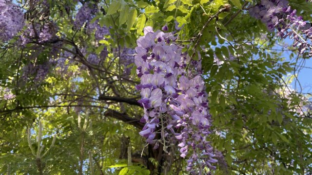 Якою буде погода на Херсонщині 1 травня